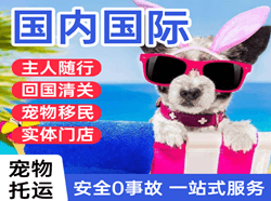 湛江航空运输国际宠物托运 【国